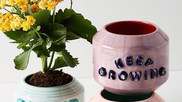 Керамическое кашпо 🪴