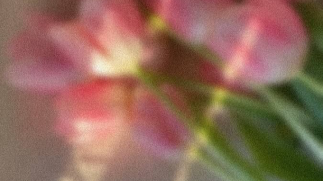 Весенний фотодень 