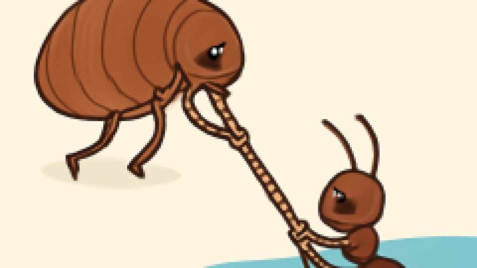 The Flea and the Ant: On Stage