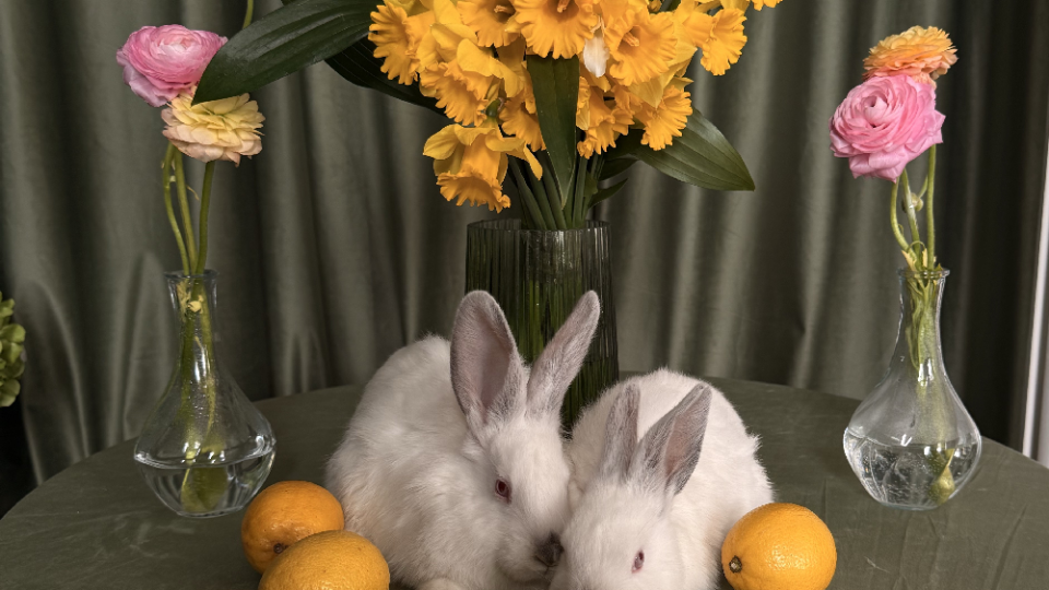 Пасхальный фотодень в студии